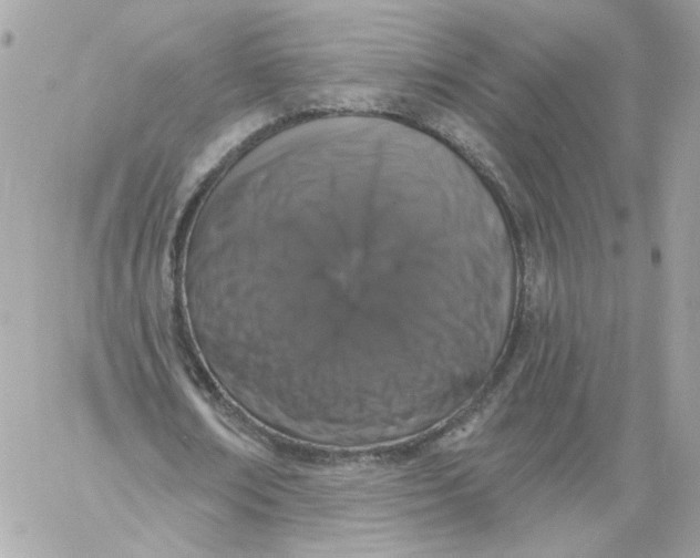 X0000058810674200510211905
