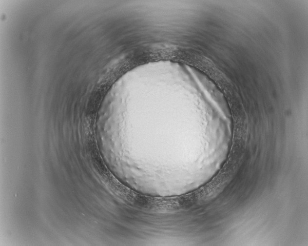 X0000058810711200510211904
