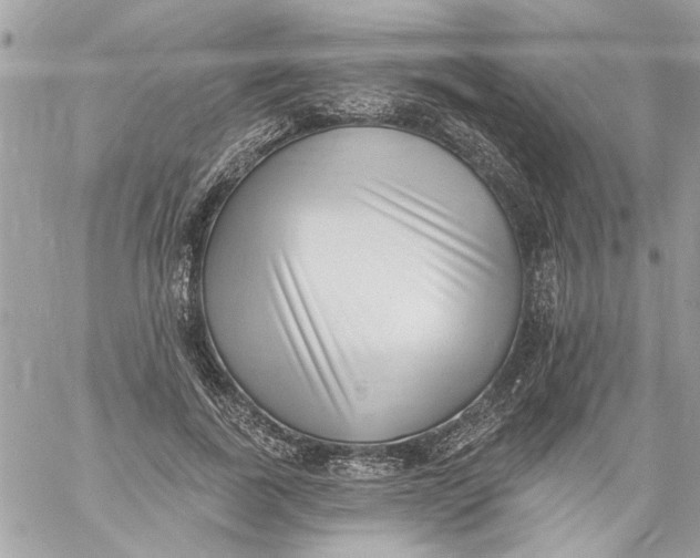 X0000058810739200510211904