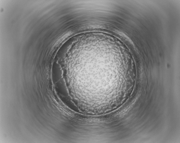 X0000058810785200510211903
