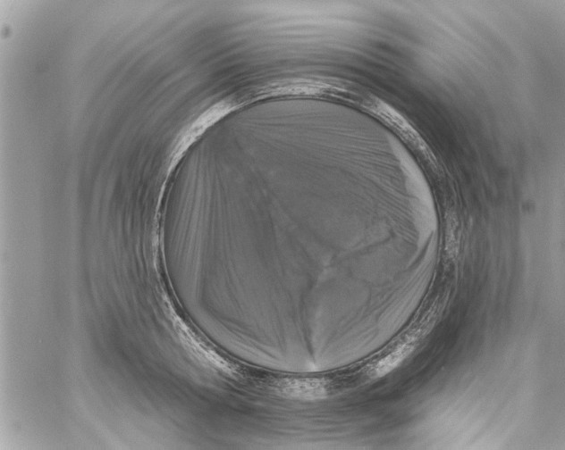 X0000058810802200510211903