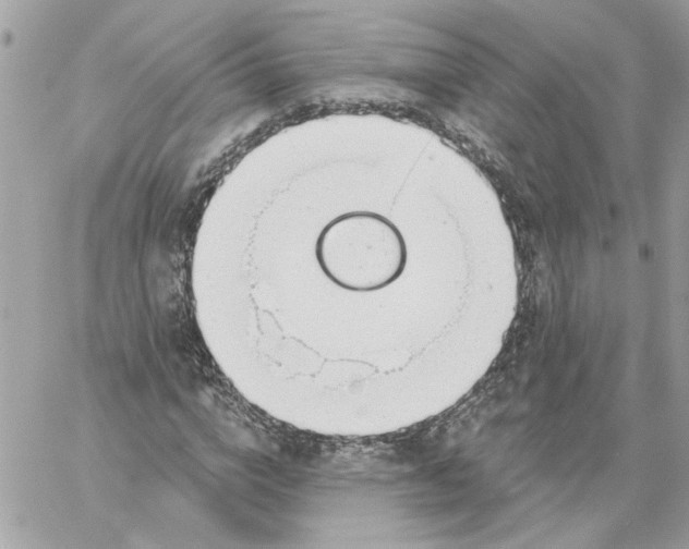 X0000058810824200510211902