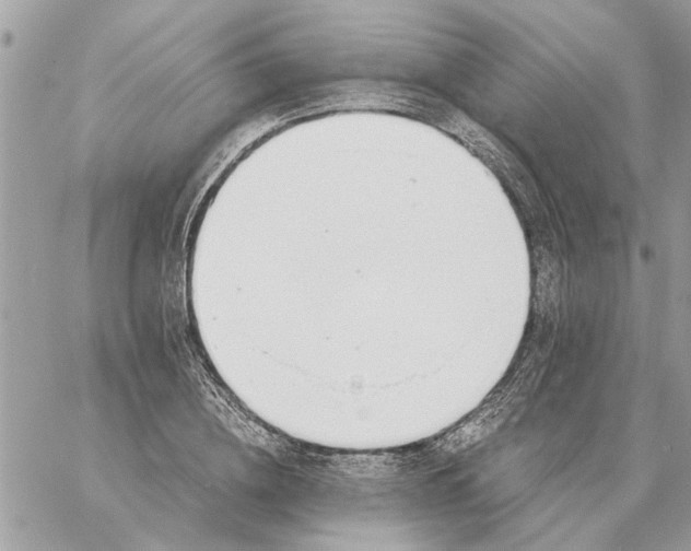 X0000058810836200510211902