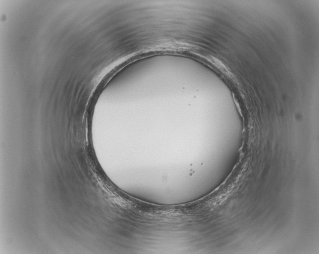 X0000058810838200510211902