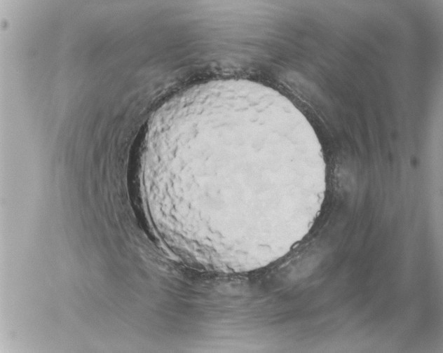 X0000058810865200510211902