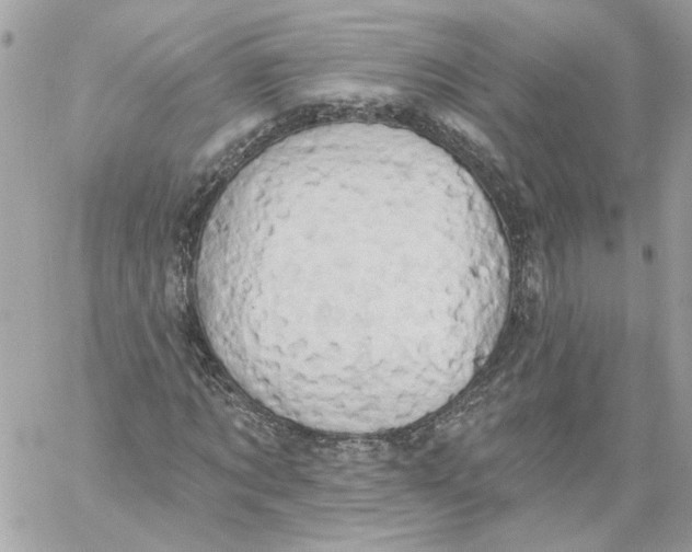 X0000058810869200510211902