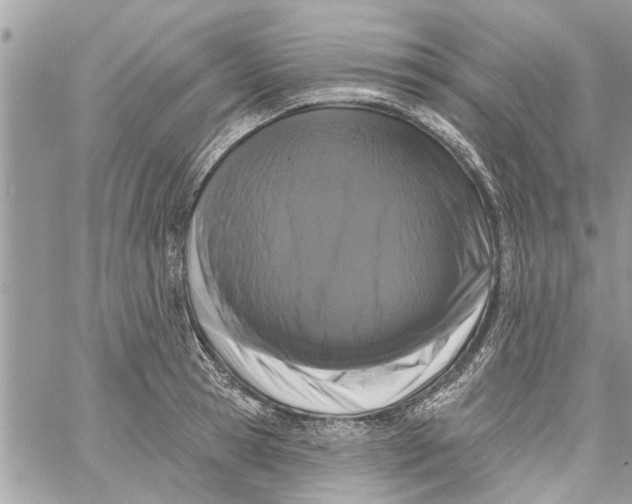 X0000058810945200510211901
