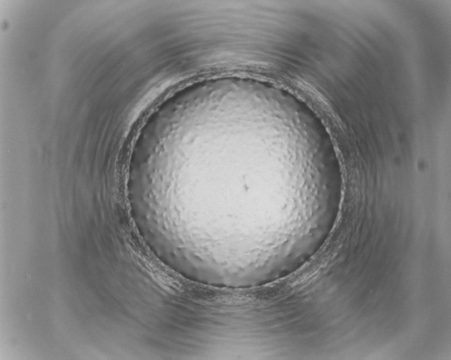 X0000058811023200510211859