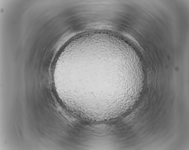 X0000058811031200510211859