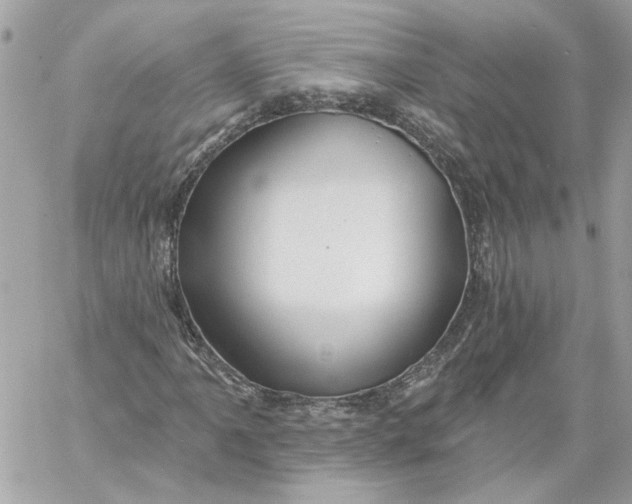 X0000058811061200510211858