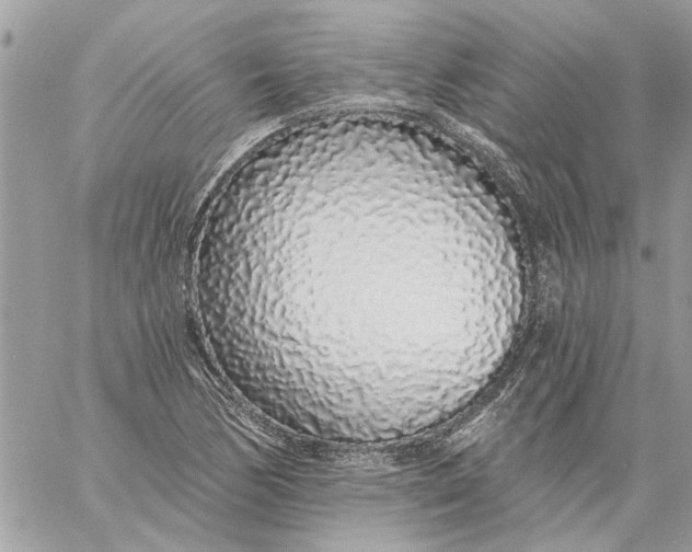 X0000058811170200510211857
