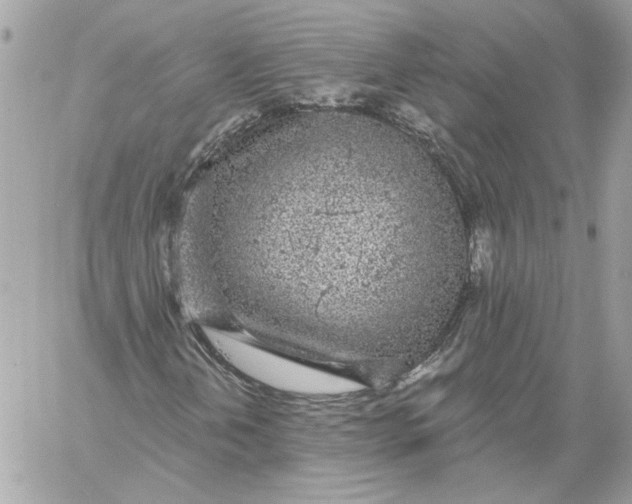 X0000058811202200510211855