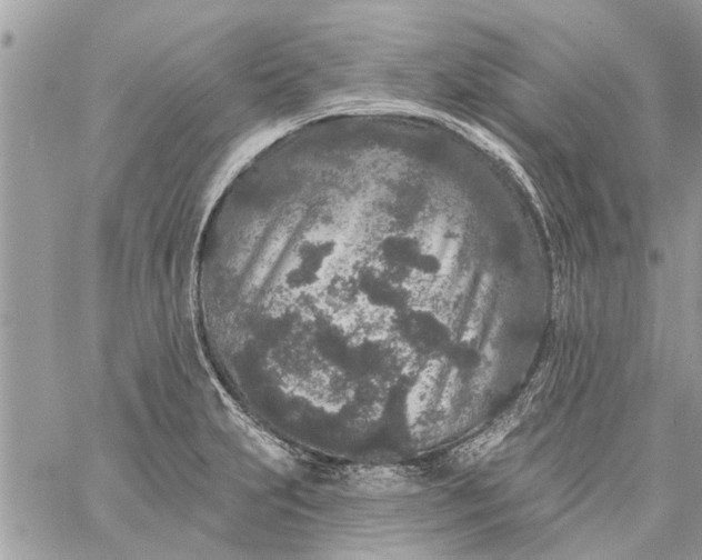 X0000058811231200510211856