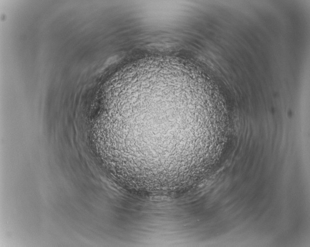 X0000058811297200510211854