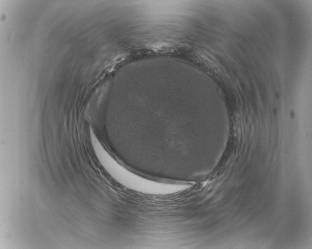 X0000058811298200510211854