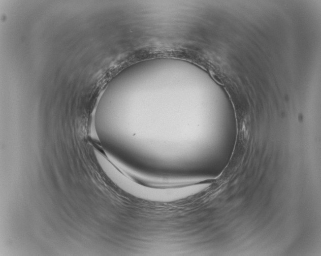X0000058811348200510211854