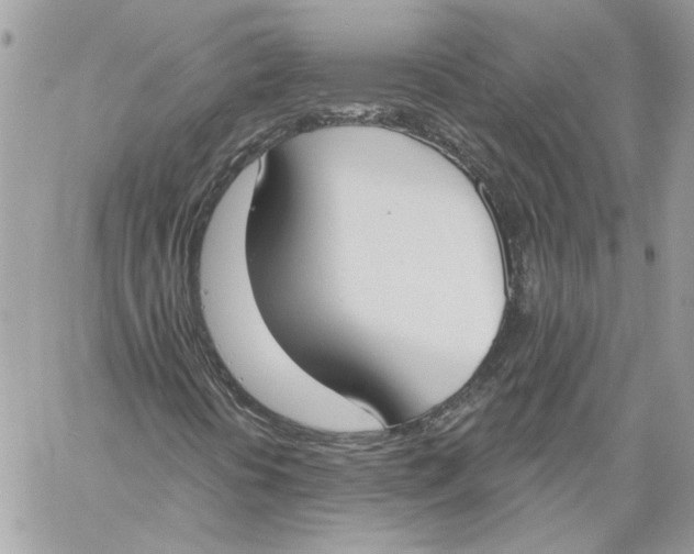 X0000058811394200510211852