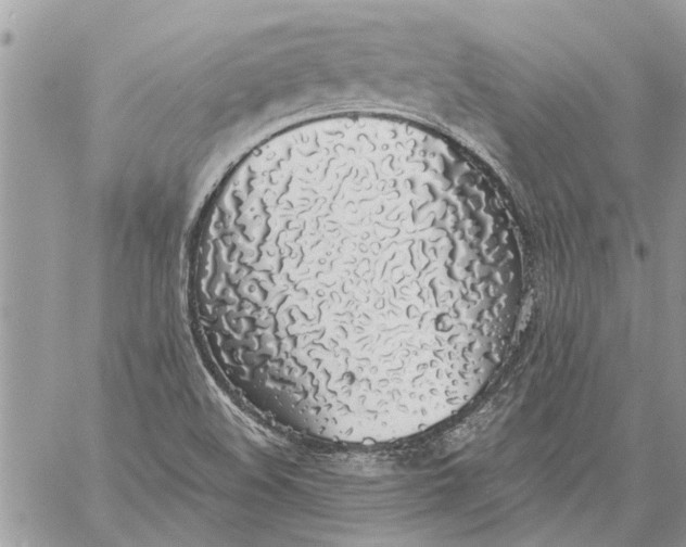 X0000058811508200510211851