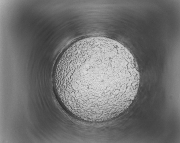 X0000058810002200510282142