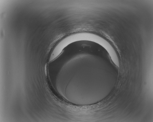 X0000058810019200510282142