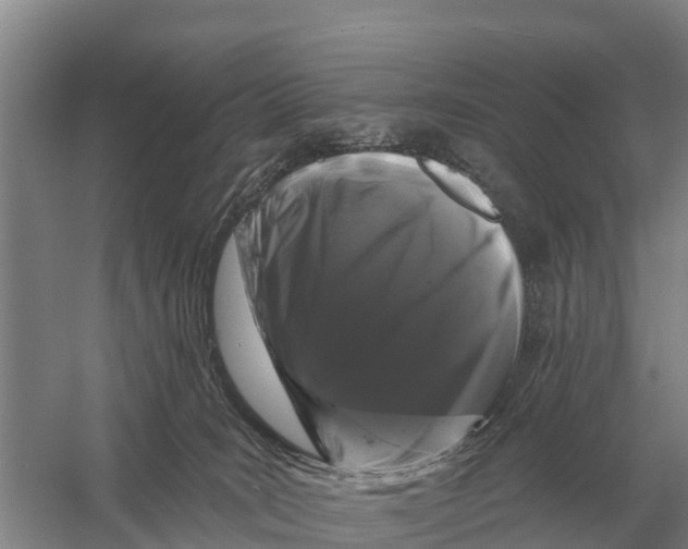X0000058810035200510282141