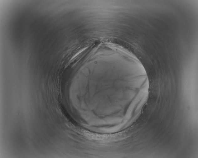 X0000058810039200510282141