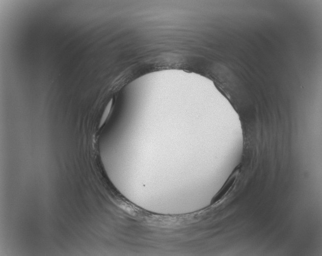 X0000058810045200510282141