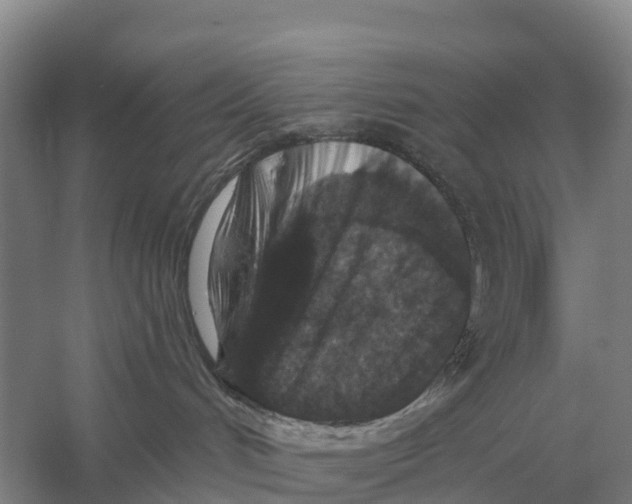 X0000058810048200510282141