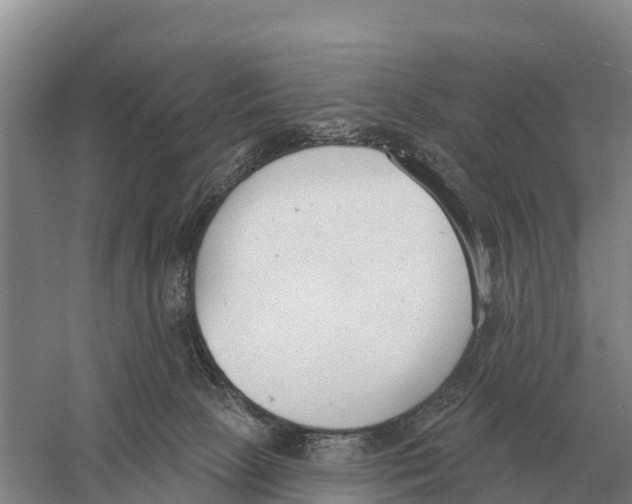 X0000058810081200510282141
