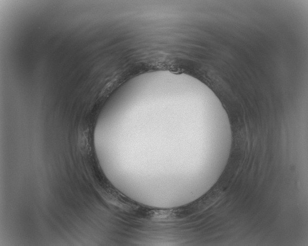 X0000058810088200510282141