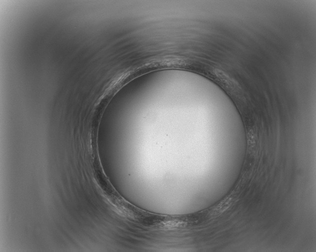 X0000058810158200510282139