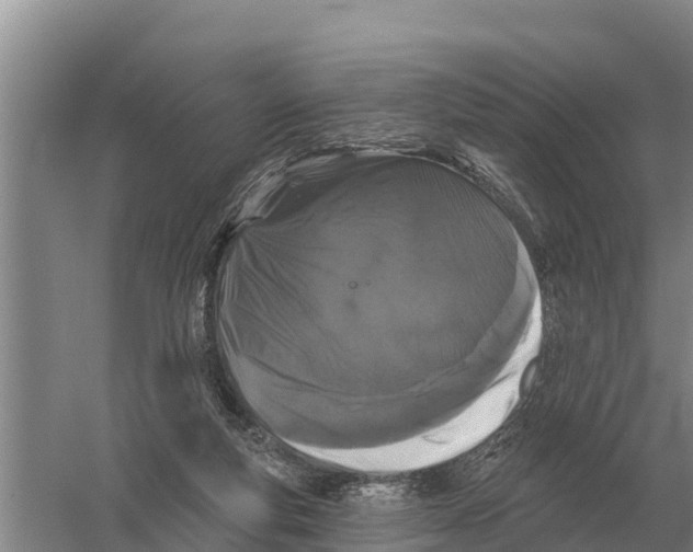 X0000058810163200510282139