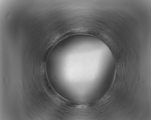 X0000058810168200510282139