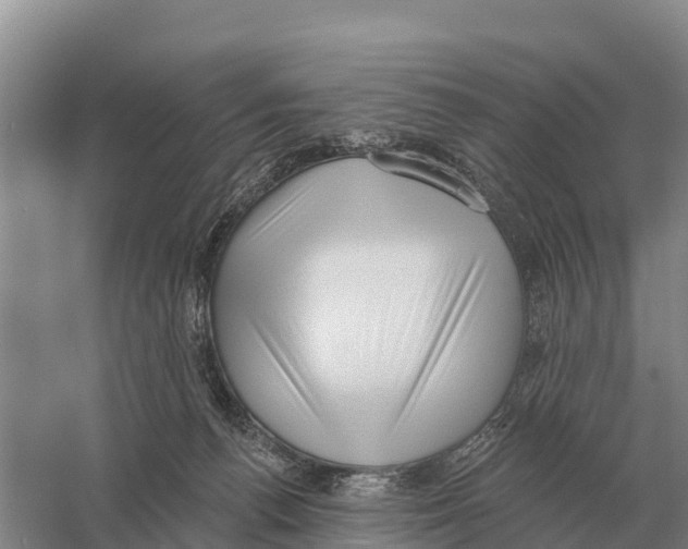 X0000058810176200510282139