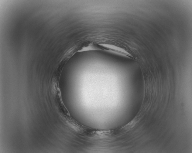 X0000058810188200510282139