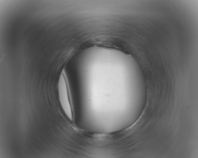 X0000058810192200510282139
