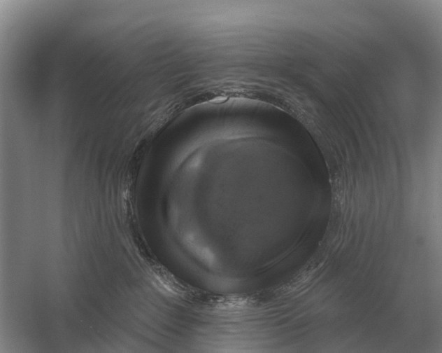 X0000058810235200510282138