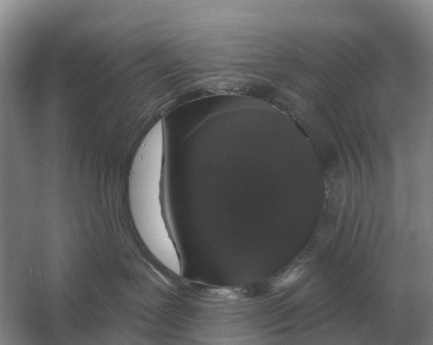 X0000058810239200510282138