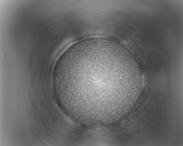 X0000058810243200510282137