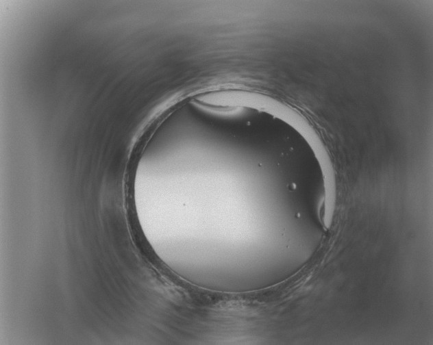 X0000058810244200510282137