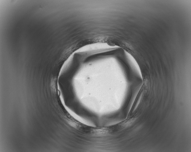 X0000058810286200510282138