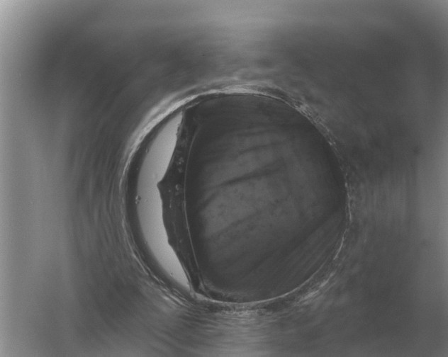 X0000058810295200510282137
