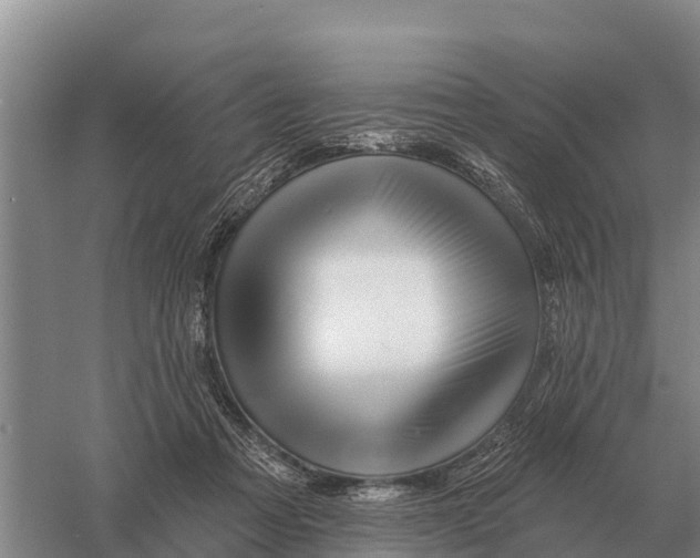 X0000058810313200510282137