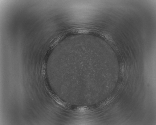 X0000058810325200510282136