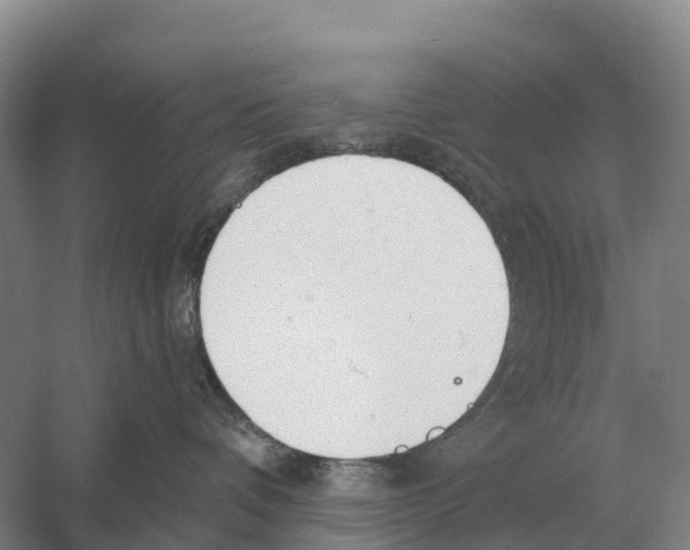X0000058810336200510282136