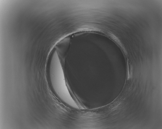 X0000058810387200510282135