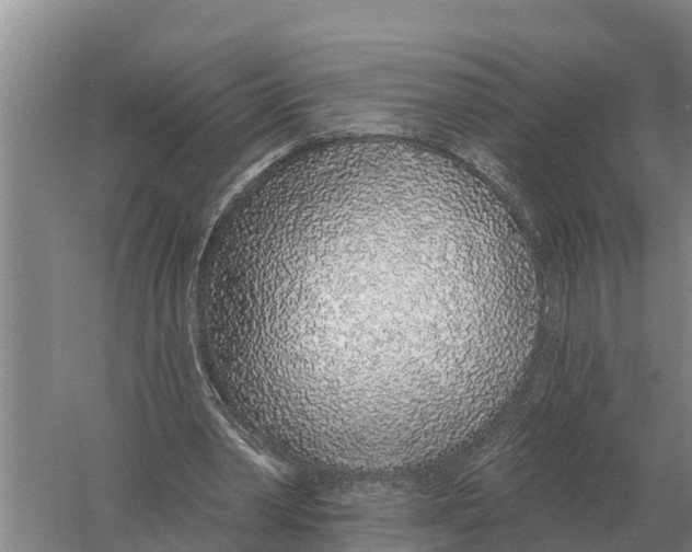 X0000058810390200510282135