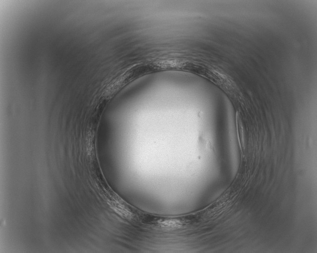 X0000058810409200510282135