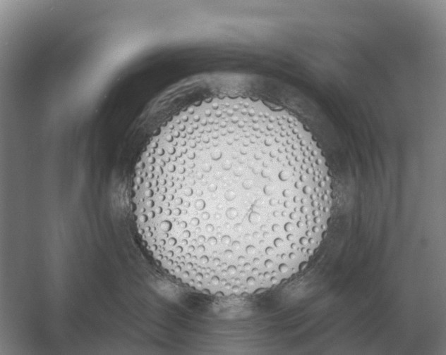 X0000058810431200510282135