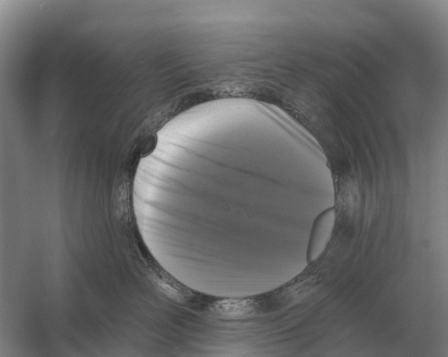 X0000058810526200510282133